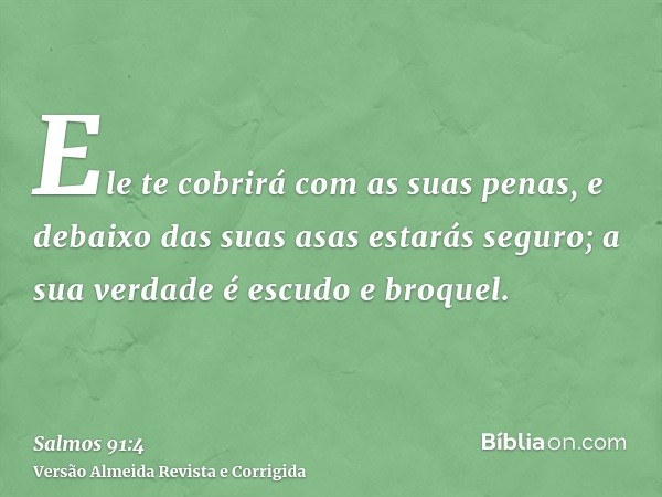 Ele te cobrirá com as suas penas, e debaixo das suas asas estarás seguro; a sua verdade é escudo e broquel.