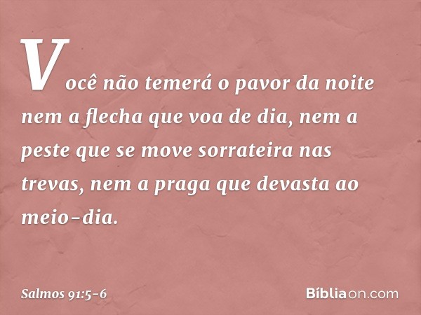 Você não temerá o pavor da noite
nem a flecha que voa de dia, nem a peste que se move sorrateira
nas trevas,
nem a praga que devasta ao meio-dia. -- Salmo 91:5-