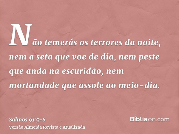 Não temerás os terrores da noite, nem a seta que voe de dia,nem peste que anda na escuridão, nem mortandade que assole ao meio-dia.