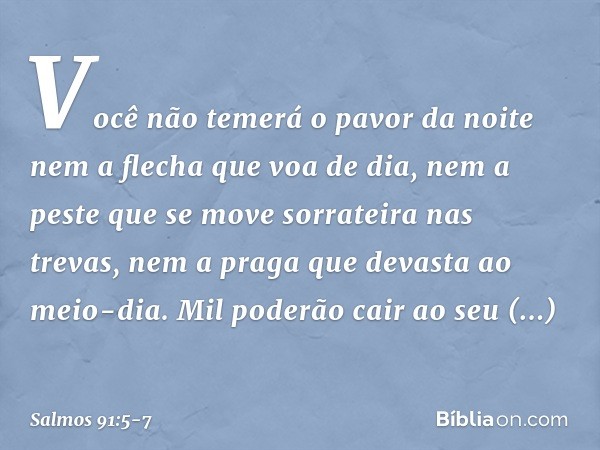 Você não temerá o pavor da noite
nem a flecha que voa de dia, nem a peste que se move sorrateira
nas trevas,
nem a praga que devasta ao meio-dia. Mil poderão ca