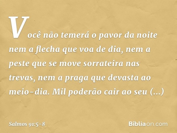 Você não temerá o pavor da noite
nem a flecha que voa de dia, nem a peste que se move sorrateira
nas trevas,
nem a praga que devasta ao meio-dia. Mil poderão ca