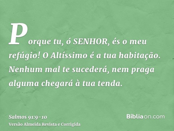 Porque tu, ó SENHOR, és o meu refúgio! O Altíssimo é a tua habitação.Nenhum mal te sucederá, nem praga alguma chegará à tua tenda.