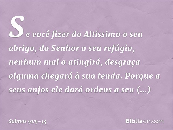 Se você fizer do Altíssimo o seu abrigo,
do Senhor o seu refúgio, nenhum mal o atingirá,
desgraça alguma chegará à sua tenda. Porque a seus anjos ele dará orden