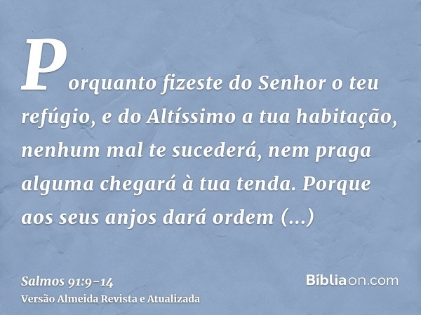 Porquanto fizeste do Senhor o teu refúgio, e do Altíssimo a tua habitação,nenhum mal te sucederá, nem praga alguma chegará à tua tenda.Porque aos seus anjos dar