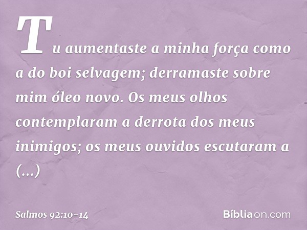 Tu aumentaste a minha força
como a do boi selvagem;
derramaste sobre mim óleo novo. Os meus olhos contemplaram a derrota
dos meus inimigos;
os meus ouvidos escu