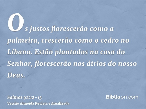 Os justos florescerão como a palmeira, crescerão como o cedro no Líbano.Estão plantados na casa do Senhor, florescerão nos átrios do nosso Deus.