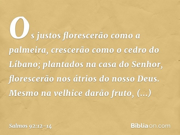 Os justos florescerão como a palmeira,
crescerão como o cedro do Líbano; plantados na casa do Senhor,
florescerão nos átrios do nosso Deus. Mesmo na velhice dar