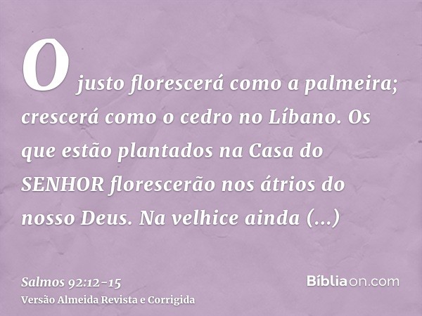 O justo florescerá como a palmeira; crescerá como o cedro no Líbano.Os que estão plantados na Casa do SENHOR florescerão nos átrios do nosso Deus.Na velhice ain