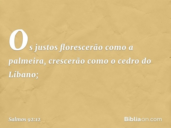 Os justos florescerão como a palmeira,
crescerão como o cedro do Líbano; -- Salmo 92:12