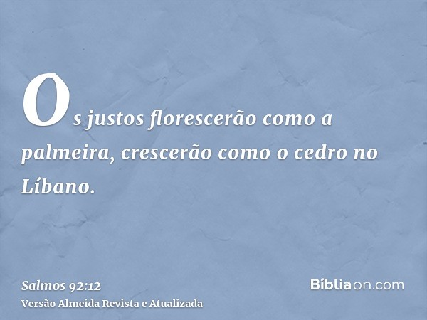 Os justos florescerão como a palmeira, crescerão como o cedro no Líbano.