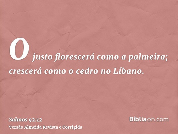 O justo florescerá como a palmeira; crescerá como o cedro no Líbano.