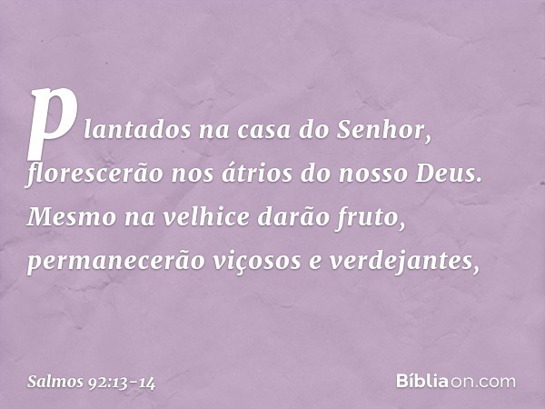 plantados na casa do Senhor,
florescerão nos átrios do nosso Deus. Mesmo na velhice darão fruto,
permanecerão viçosos e verdejantes, -- Salmo 92:13-14