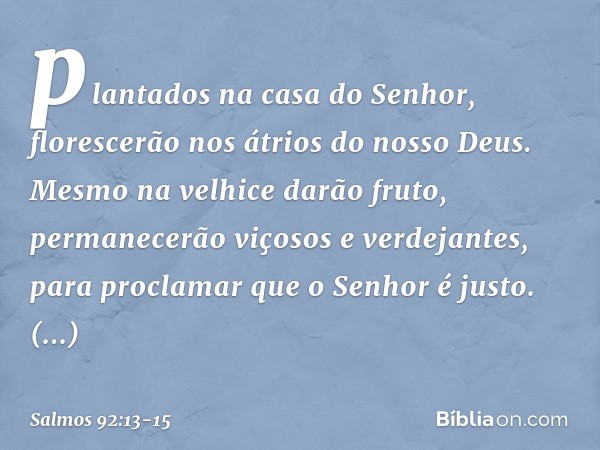 plantados na casa do Senhor,
florescerão nos átrios do nosso Deus. Mesmo na velhice darão fruto,
permanecerão viçosos e verdejantes, para proclamar que o Senhor