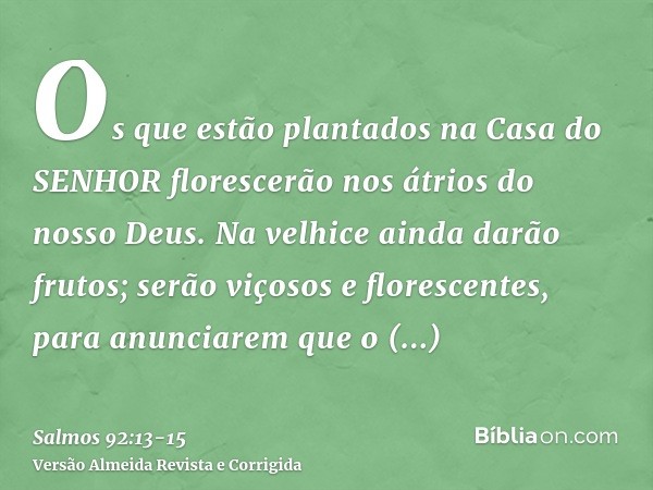 Os que estão plantados na Casa do SENHOR florescerão nos átrios do nosso Deus.Na velhice ainda darão frutos; serão viçosos e florescentes,para anunciarem que o 