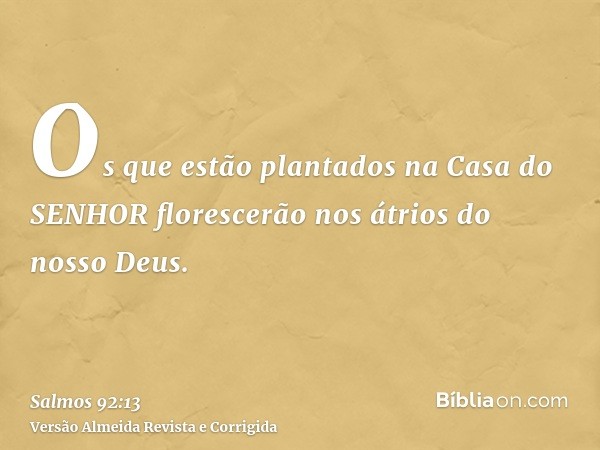 Os que estão plantados na Casa do SENHOR florescerão nos átrios do nosso Deus.
