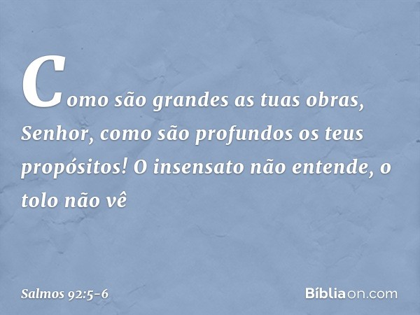 Como são grandes as tuas obras, Senhor,
como são profundos os teus propósitos! O insensato não entende, o tolo não vê -- Salmo 92:5-6