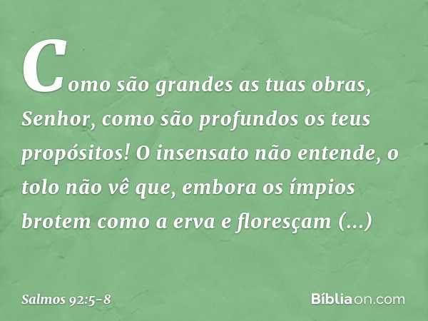 Como são grandes as tuas obras, Senhor,
como são profundos os teus propósitos! O insensato não entende, o tolo não vê que, embora os ímpios brotem como a erva
e