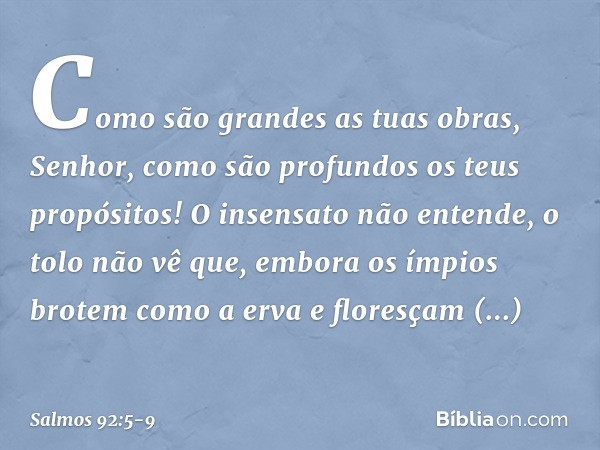 Como são grandes as tuas obras, Senhor,
como são profundos os teus propósitos! O insensato não entende, o tolo não vê que, embora os ímpios brotem como a erva
e