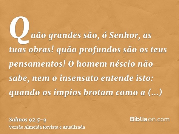 Quão grandes são, ó Senhor, as tuas obras! quão profundos são os teus pensamentos!O homem néscio não sabe, nem o insensato entende isto:quando os ímpios brotam 