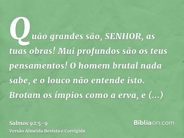 Quão grandes são, SENHOR, as tuas obras! Mui profundos são os teus pensamentos!O homem brutal nada sabe, e o louco não entende isto.Brotam os ímpios como a erva