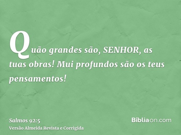 Quão grandes são, SENHOR, as tuas obras! Mui profundos são os teus pensamentos!