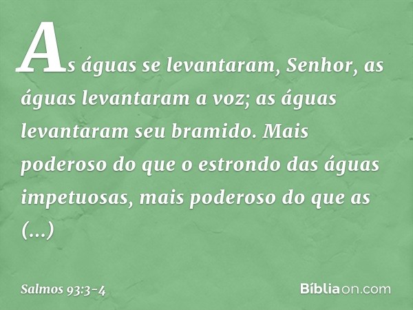 As águas se levantaram, Senhor,
as águas levantaram a voz;
as águas levantaram seu bramido. Mais poderoso do que o estrondo
das águas impetuosas,
mais poderoso 