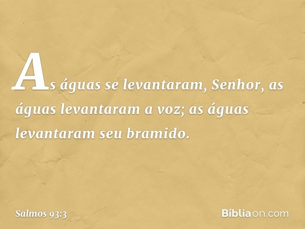 As águas se levantaram, Senhor,
as águas levantaram a voz;
as águas levantaram seu bramido. -- Salmo 93:3