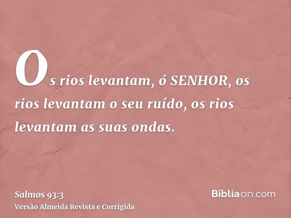 Os rios levantam, ó SENHOR, os rios levantam o seu ruído, os rios levantam as suas ondas.