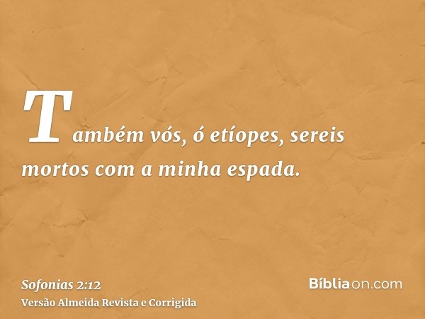 Também vós, ó etíopes, sereis mortos com a minha espada.