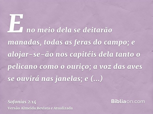 E no meio dela se deitarão manadas, todas as feras do campo; e alojar-se-ão nos capitéis dela tanto o pelicano como o ouriço; a voz das aves se ouvirá nas janel