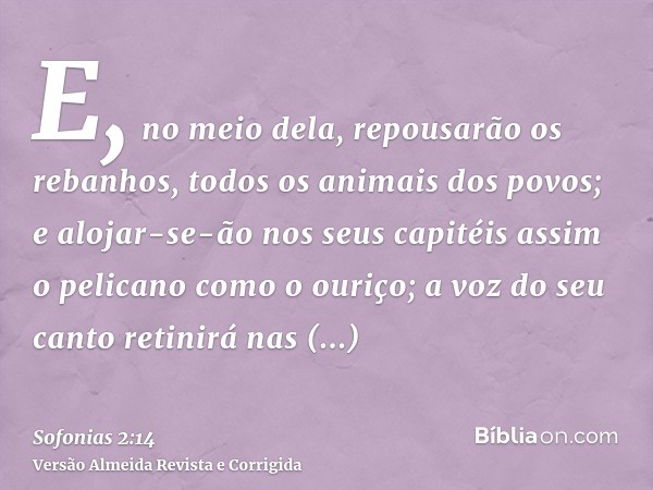 E, no meio dela, repousarão os rebanhos, todos os animais dos povos; e alojar-se-ão nos seus capitéis assim o pelicano como o ouriço; a voz do seu canto retinir