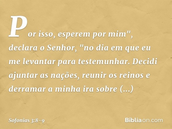 Por isso, esperem por mim",
declara o Senhor,
"no dia em que eu me levantar
para testemunhar.
Decidi ajuntar as nações,
reunir os reinos
e derramar a minha ira 