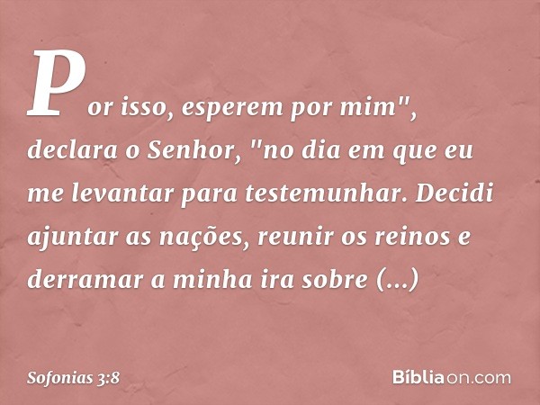 Por isso, esperem por mim",
declara o Senhor,
"no dia em que eu me levantar
para testemunhar.
Decidi ajuntar as nações,
reunir os reinos
e derramar a minha ira 