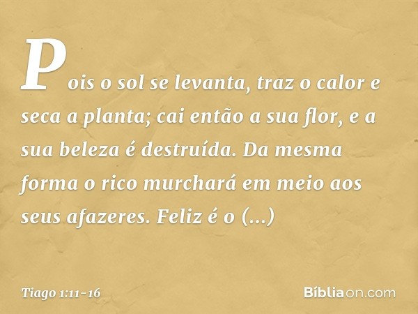 Pois o sol se levanta, traz o calor e seca a planta; cai então a sua flor, e a sua beleza é destruída. Da mesma forma o rico murchará em meio aos seus afazeres.