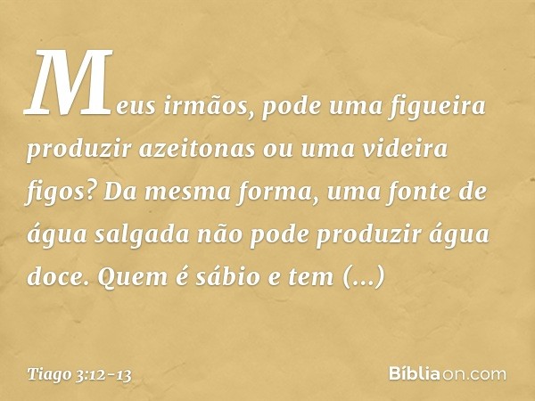 Meus irmãos, pode uma figueira produzir azeitonas ou uma videira figos? Da mesma forma, uma fonte de água salgada não pode produzir água doce. Quem é sábio e te