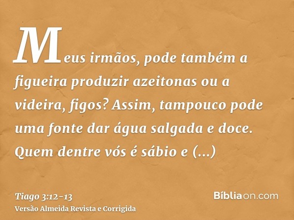 Meus irmãos, pode também a figueira produzir azeitonas ou a videira, figos? Assim, tampouco pode uma fonte dar água salgada e doce.Quem dentre vós é sábio e int