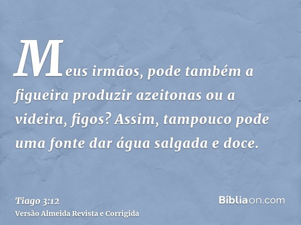 Meus irmãos, pode também a figueira produzir azeitonas ou a videira, figos? Assim, tampouco pode uma fonte dar água salgada e doce.