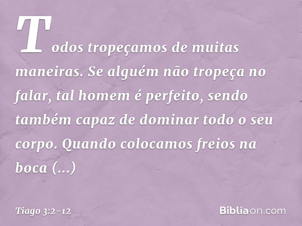 Todos tropeçamos de muitas maneiras. Se alguém não tropeça no falar, tal homem é perfeito, sendo também capaz de dominar todo o seu corpo. Quando colocamos frei