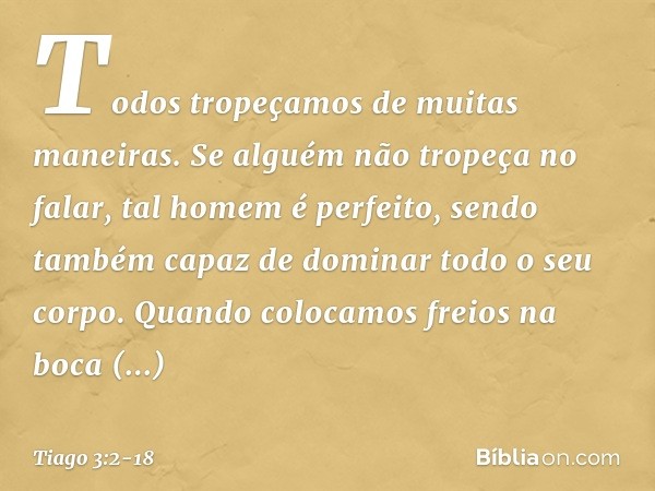 Todos tropeçamos de muitas maneiras. Se alguém não tropeça no falar, tal homem é perfeito, sendo também capaz de dominar todo o seu corpo. Quando colocamos frei