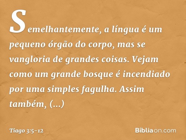 Semelhantemente, a língua é um pequeno órgão do corpo, mas se vangloria de grandes coisas. Vejam como um grande bosque é incendiado por uma simples fagulha. Ass