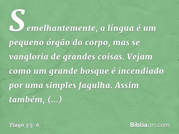 Semelhantemente, a língua é um pequeno órgão do corpo, mas se vangloria de grandes coisas. Vejam como um grande bosque é incendiado por uma simples fagulha. Ass