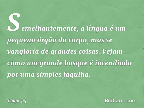 Semelhantemente, a língua é um pequeno órgão do corpo, mas se vangloria de grandes coisas. Vejam como um grande bosque é incendiado por uma simples fagulha. -- 