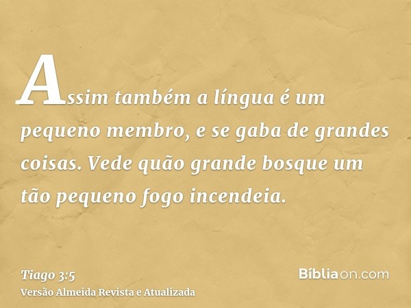 Assim também a língua é um pequeno membro, e se gaba de grandes coisas. Vede quão grande bosque um tão pequeno fogo incendeia.