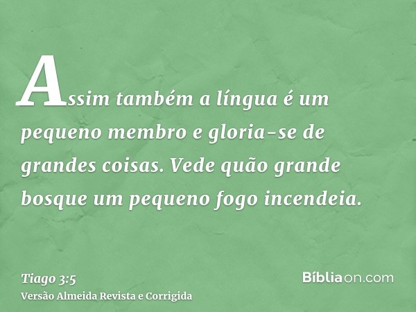 Assim também a língua é um pequeno membro e gloria-se de grandes coisas. Vede quão grande bosque um pequeno fogo incendeia.
