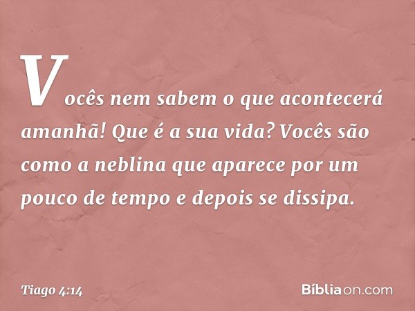 Vocês nem sabem o que acontecerá amanhã! Que é a sua vida? Vocês são como a neblina que aparece por um pouco de tempo e depois se dissipa. -- Tiago 4:14