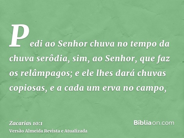 Pedi ao Senhor chuva no tempo da chuva serôdia, sim, ao Senhor, que faz os relâmpagos; e ele lhes dará chuvas copiosas, e a cada um erva no campo,