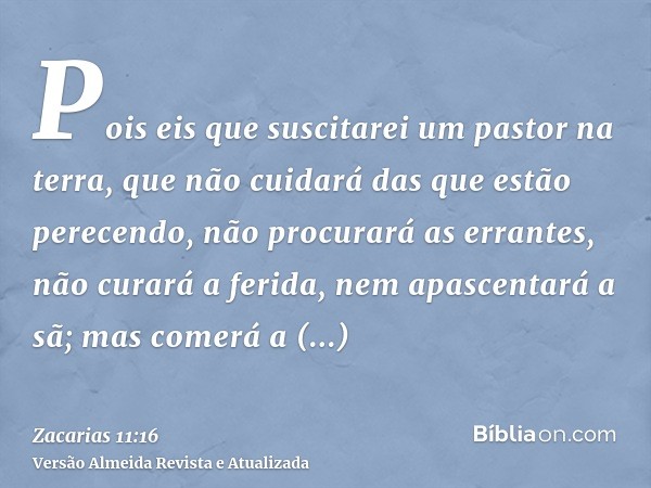 Pois eis que suscitarei um pastor na terra, que não cuidará das que estão perecendo, não procurará as errantes, não curará a ferida, nem apascentará a sã; mas c