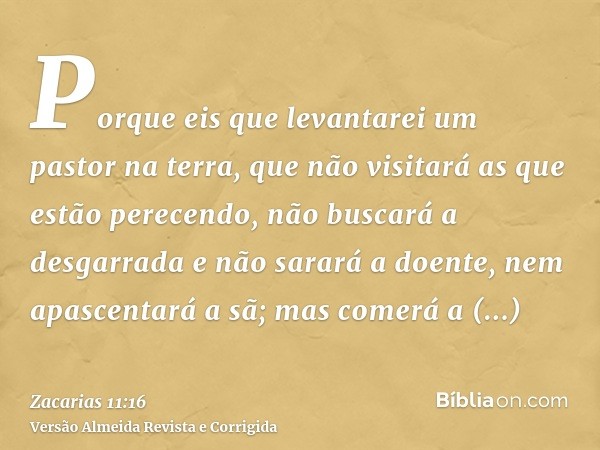 Porque eis que levantarei um pastor na terra, que não visitará as que estão perecendo, não buscará a desgarrada e não sarará a doente, nem apascentará a sã; mas