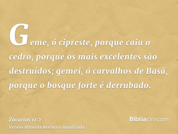 Geme, ó cipreste, porque caiu o cedro, porque os mais excelentes são destruídos; gemei, ó carvalhos de Basã, porque o bosque forte é derrubado.