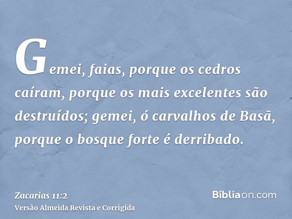 Gemei, faias, porque os cedros caíram, porque os mais excelentes são destruídos; gemei, ó carvalhos de Basã, porque o bosque forte é derribado.